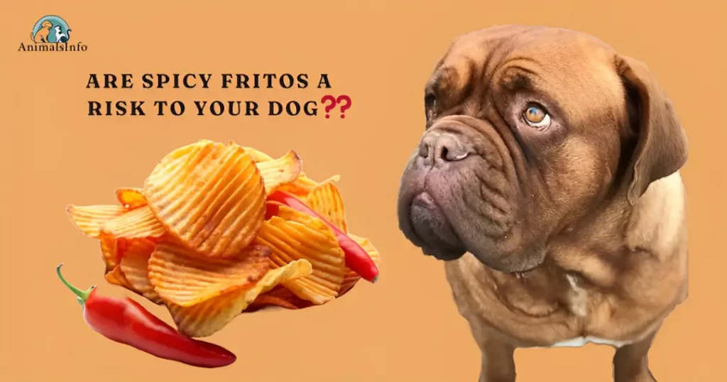 Are Spicy Fritos a Risk to Your Dog?
