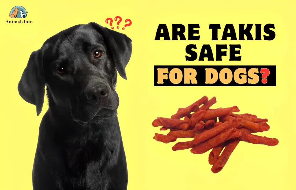 Are Takis Safe for Dogs