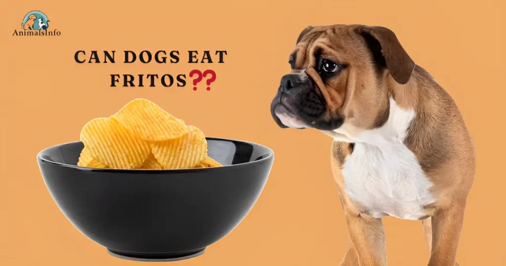 Can Dogs Eat Fritos
