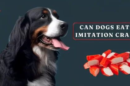 can dogs eat imitation crab