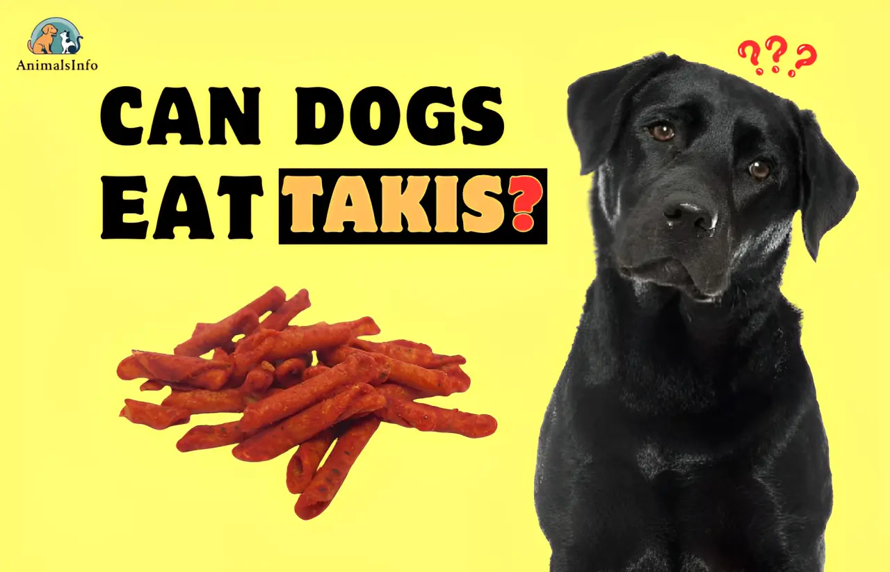 can dogs eat takis