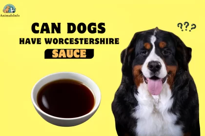 can dogs have worcestershire sauce