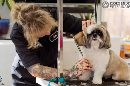 essex middle river vet