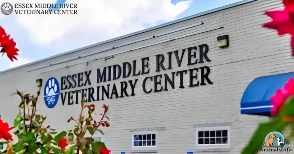 essex middle river vet center

