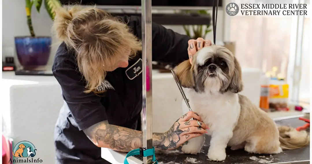 essex middle river vet