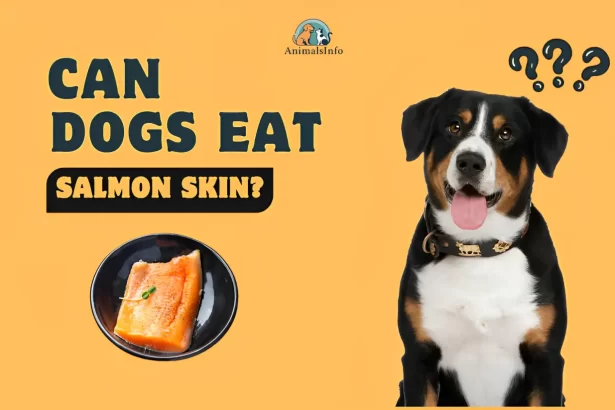 salmon skin for dogs