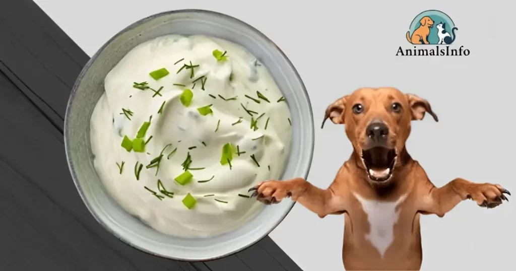 Can Dogs Eat Sour Cream - 