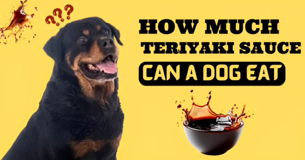 How Much Teriyaki Sauce Can a Dog Eat?
