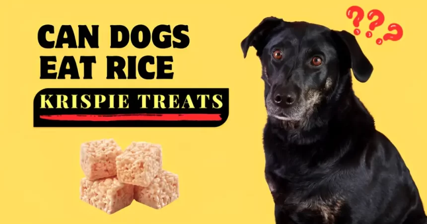 can dogs eat rice krispie treats