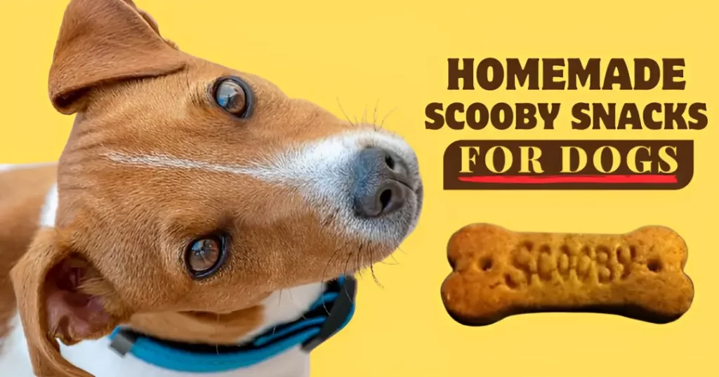 can dogs eat scooby snacks - Homemade Scooby Snacks for Dogs
