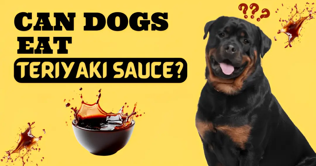 can dogs eat teriyaki sauce