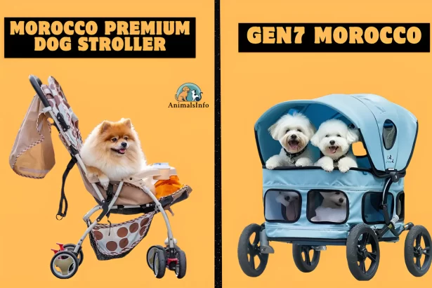 how is morocco premium dog stroller different than gen7 morocco