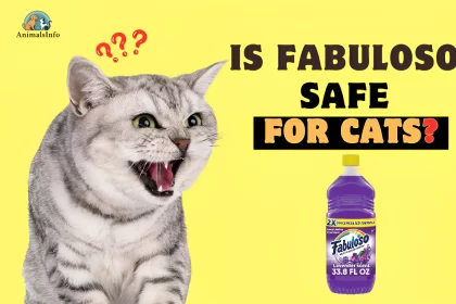 is fabuloso safe for cats