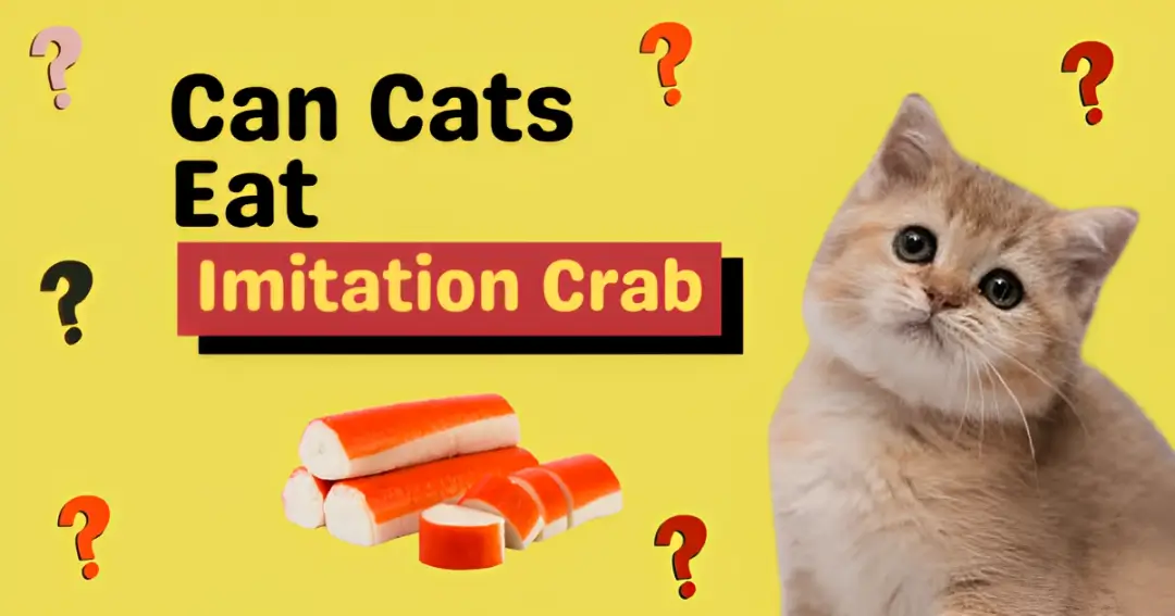 can cats eat imitation crab