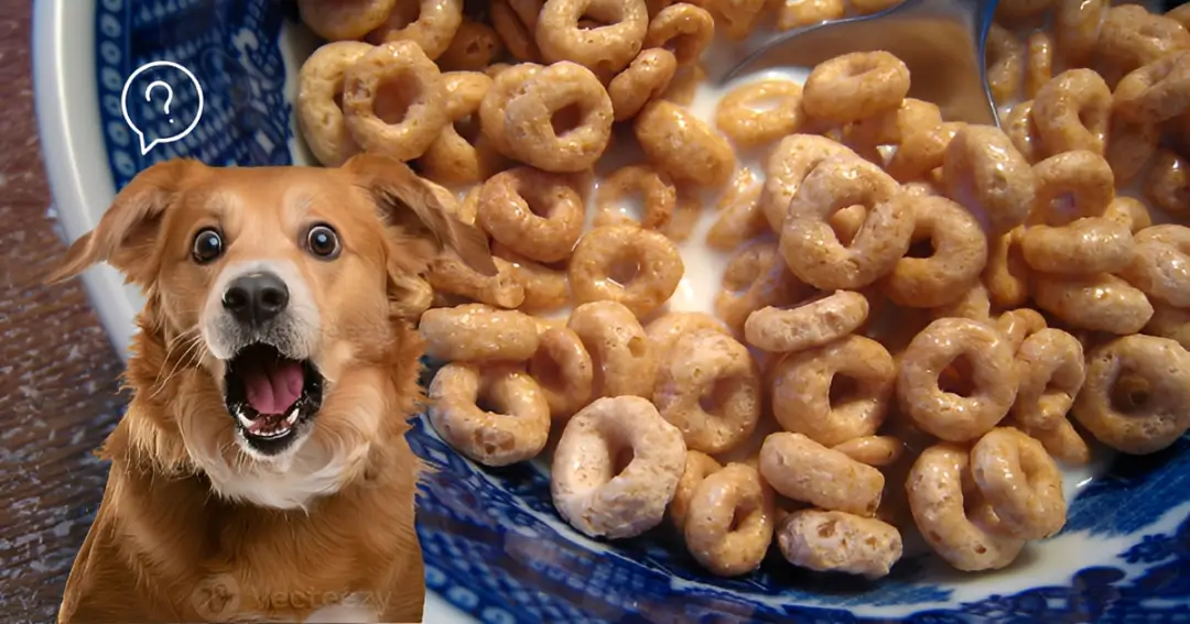 Can Dogs Eat Honey Nut Cheerios