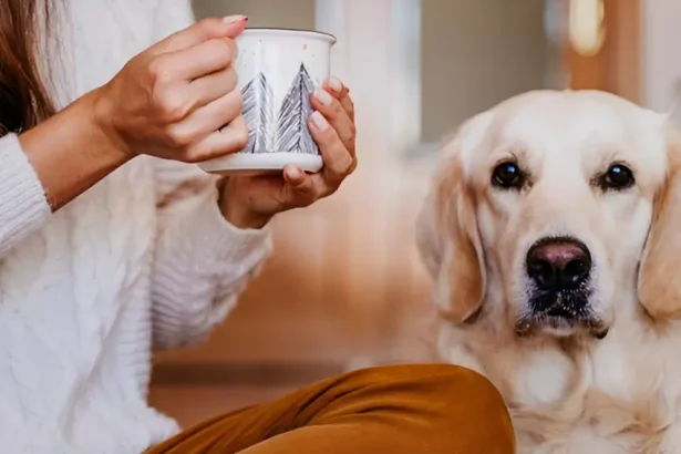can dogs drink tea