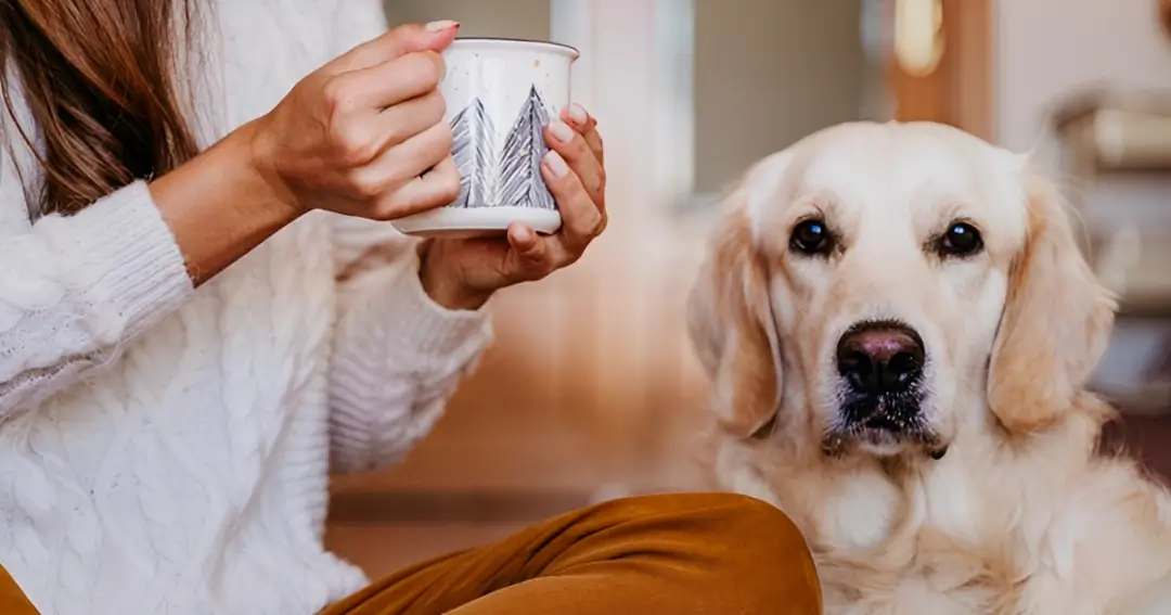 can dogs drink tea