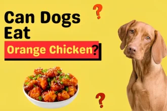 can dogs eat orange chicken