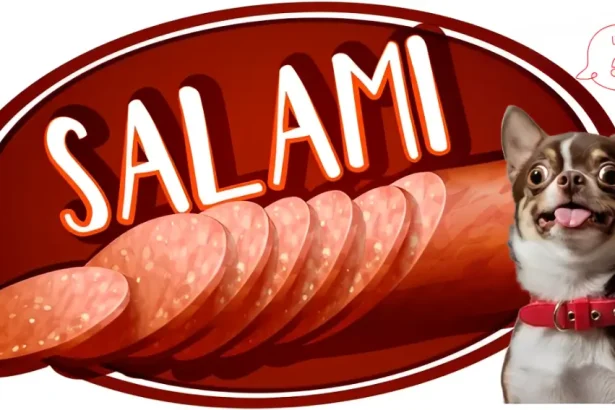 can dogs eat salami