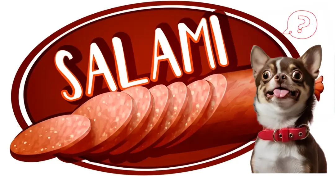 can dogs eat salami
