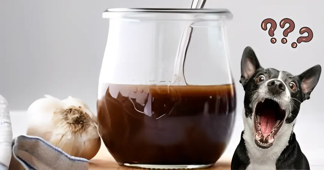 can dogs have balsamic vinegar