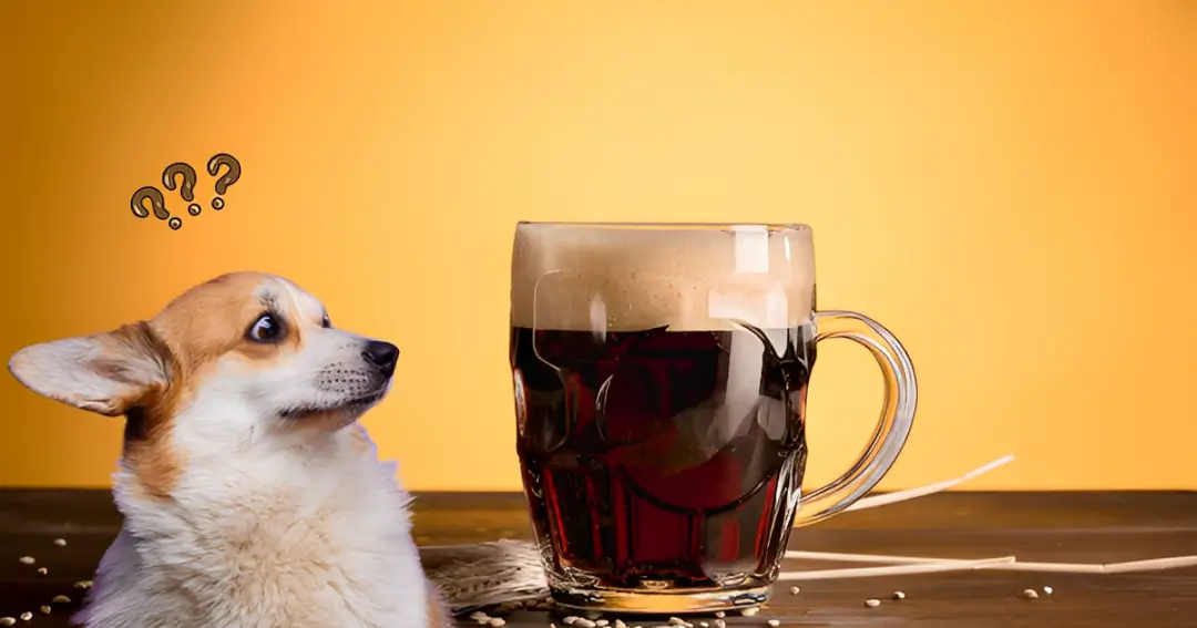 can dogs have root beer