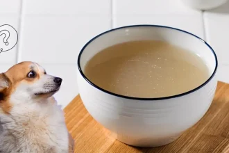 homemade dog gravy