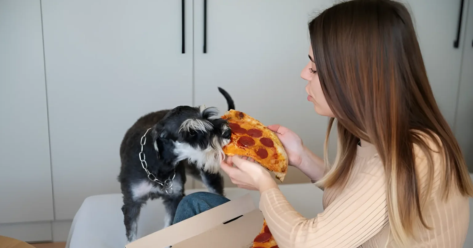 Can Dogs Eat Pizza