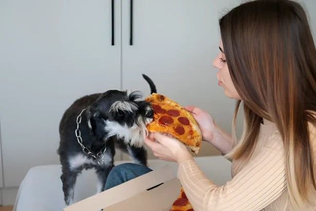 Can Dogs Eat Pizza
