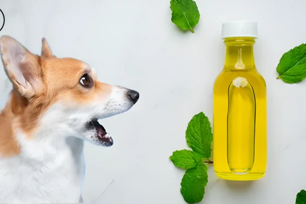 Is Oregano Oil Safe for Dogs