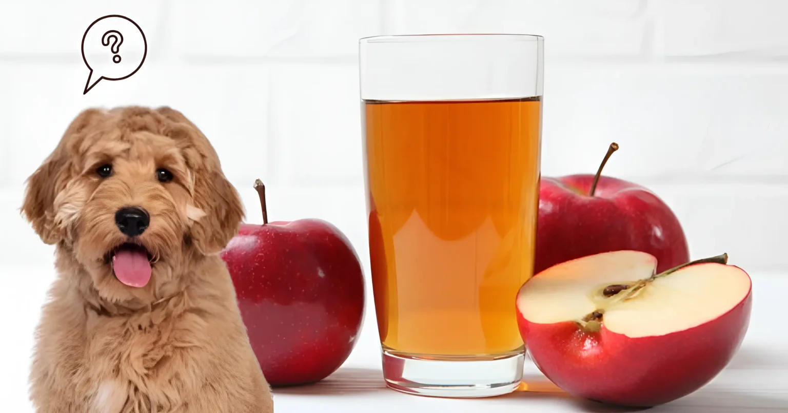 can dogs drink apple juice