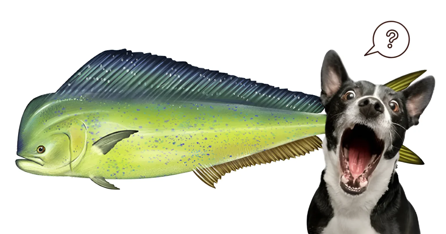 can dogs have mahi mahi