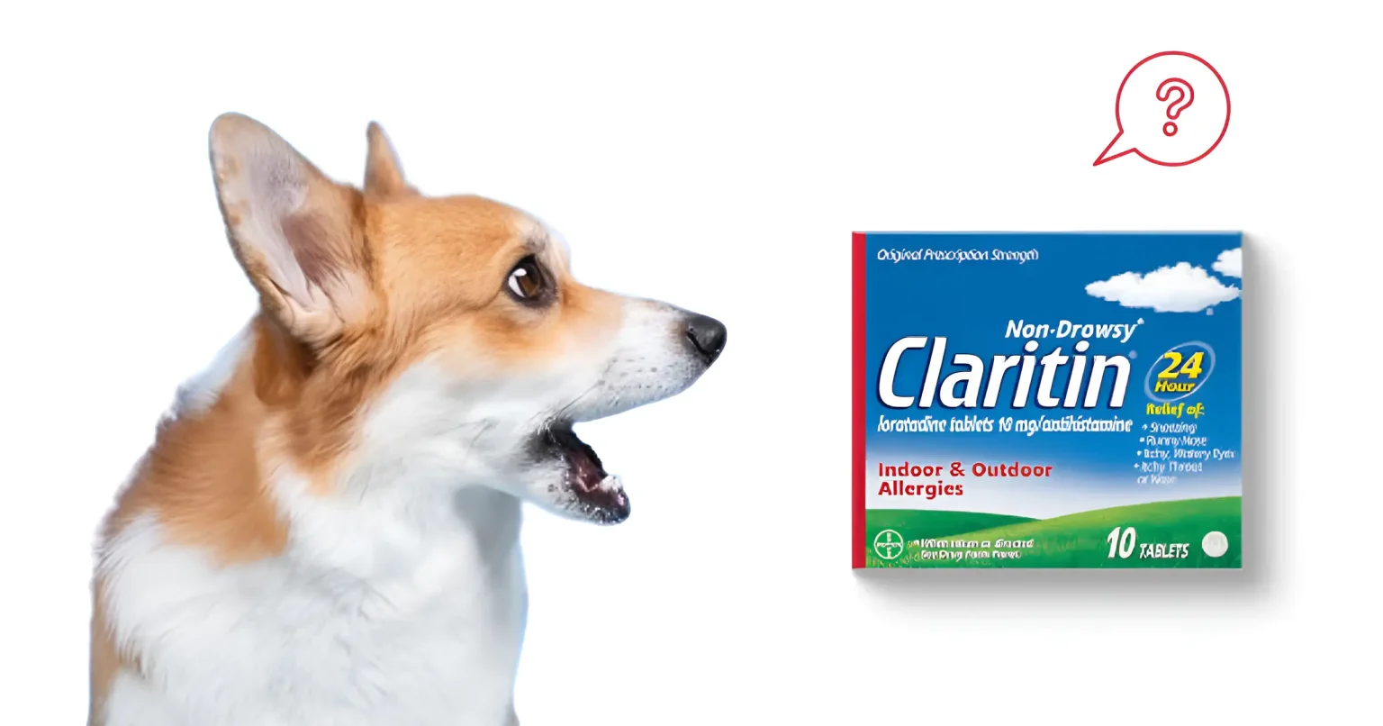 can dogs take claritin