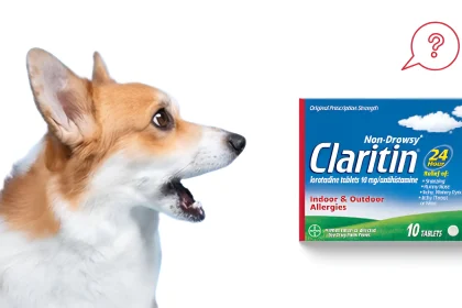 can dogs take claritin