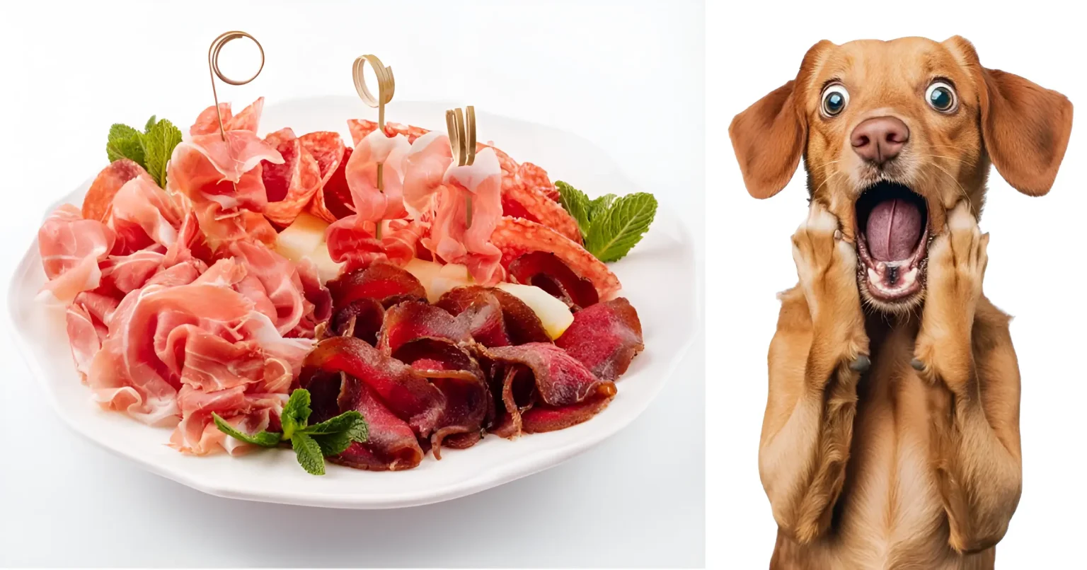 can cats eat prosciutto