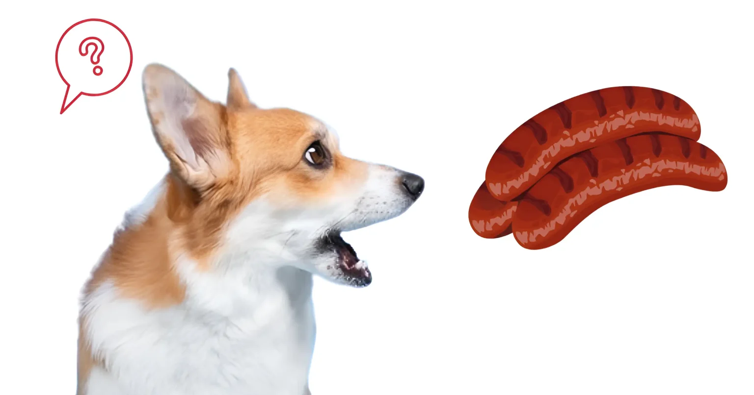 can dogs eat cabanossi