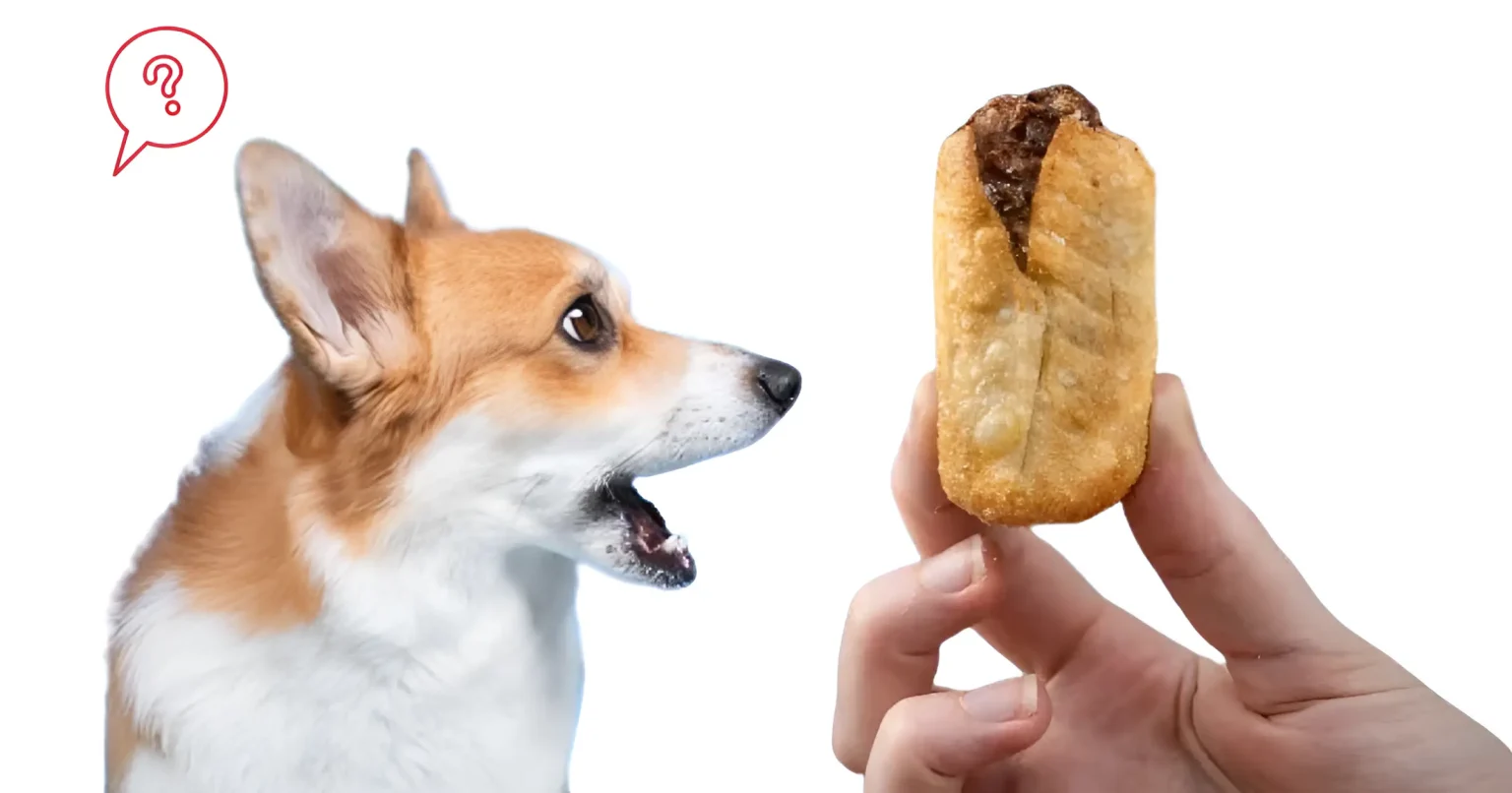 can dogs eat dim sims