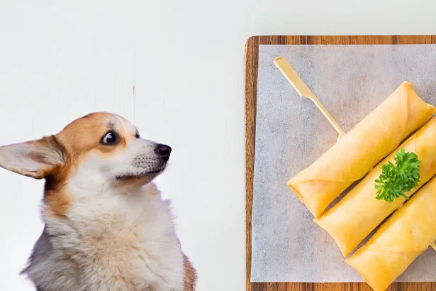 can dogs eat egg rolls