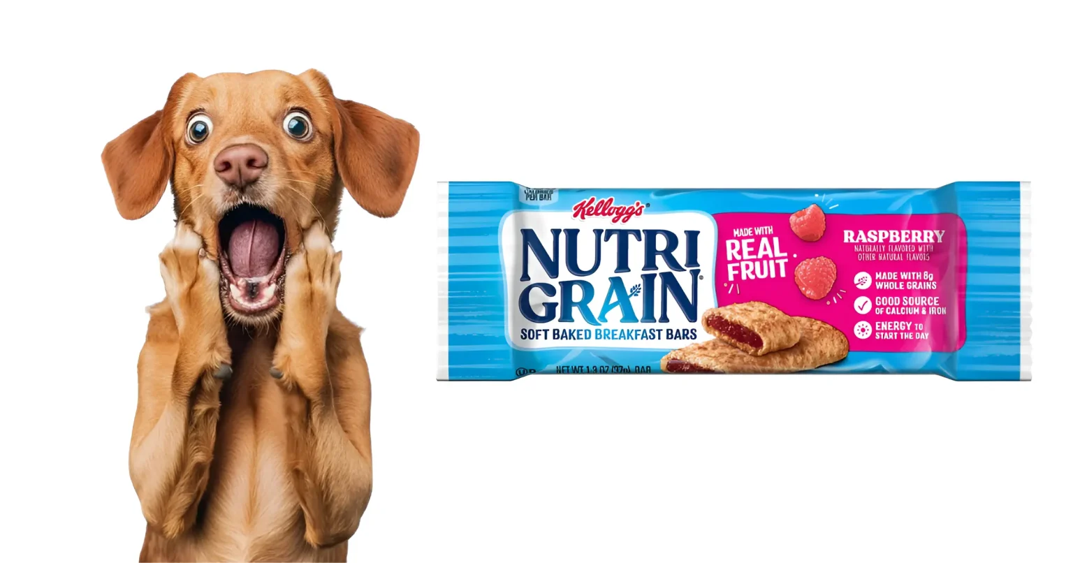 can dogs eat nutri grain