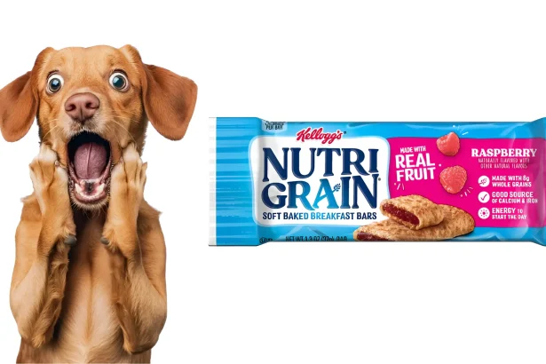can dogs eat nutri grain