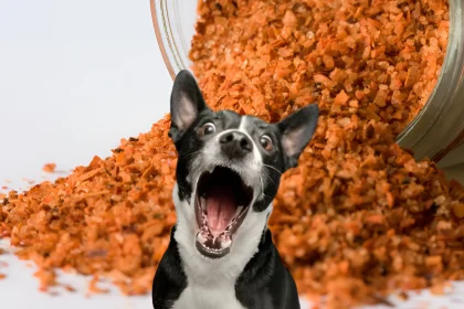 can dogs eat tajin