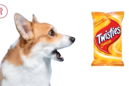 can dogs eat twisties