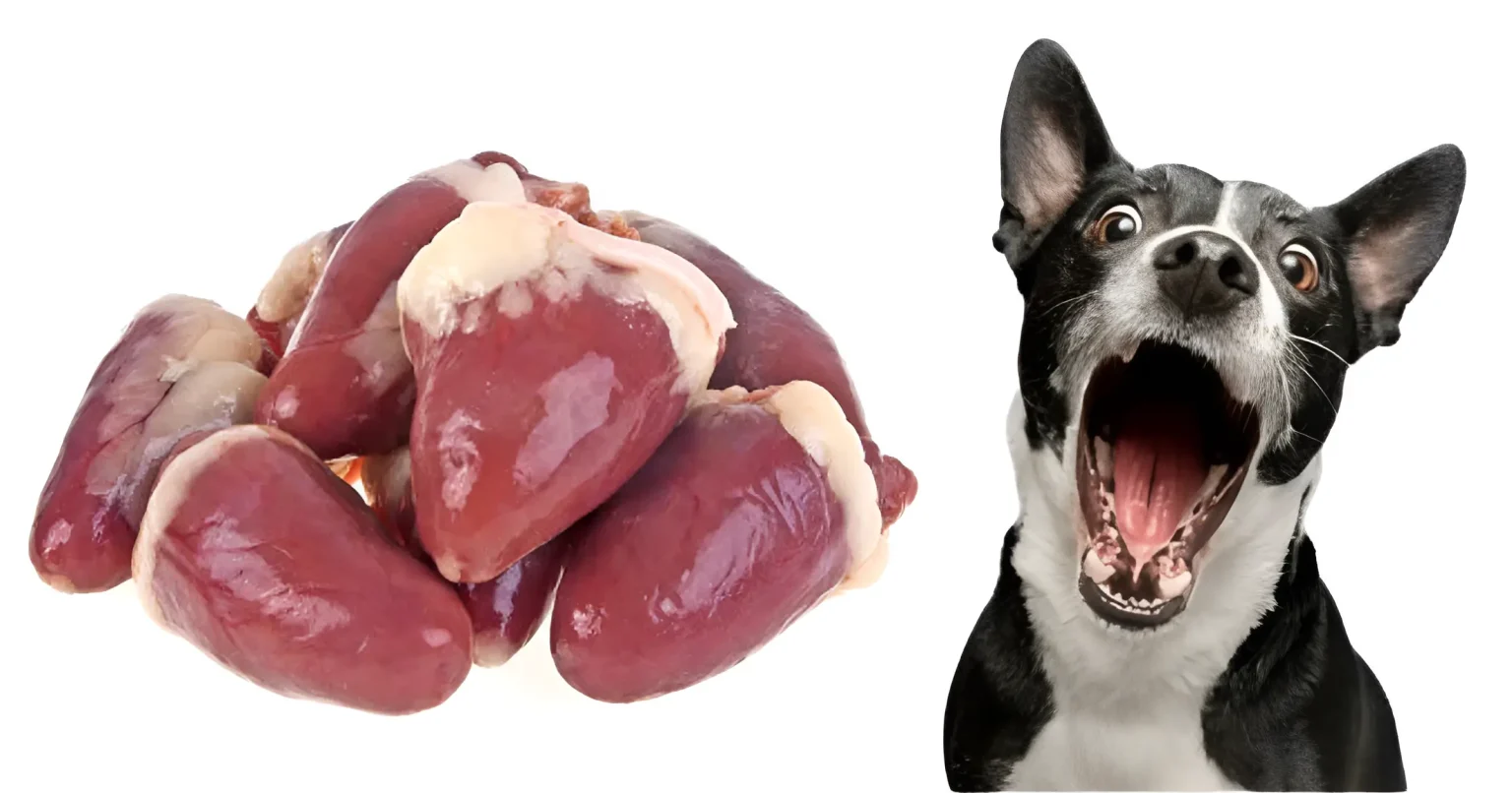 how to cook chicken hearts for dogs