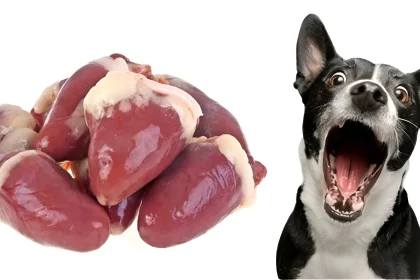 how to cook chicken hearts for dogs