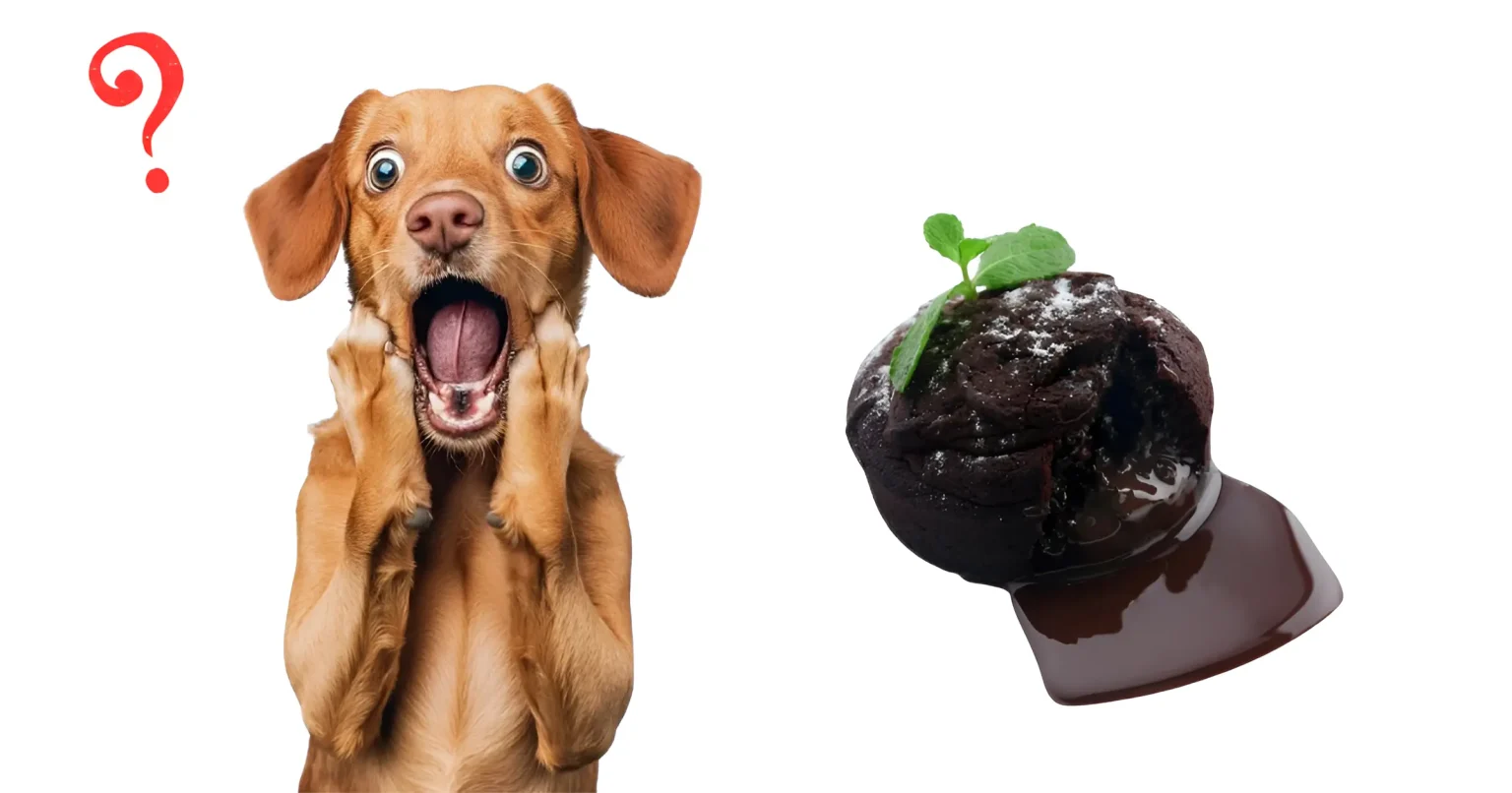 Can Dogs Eat Black Pudding