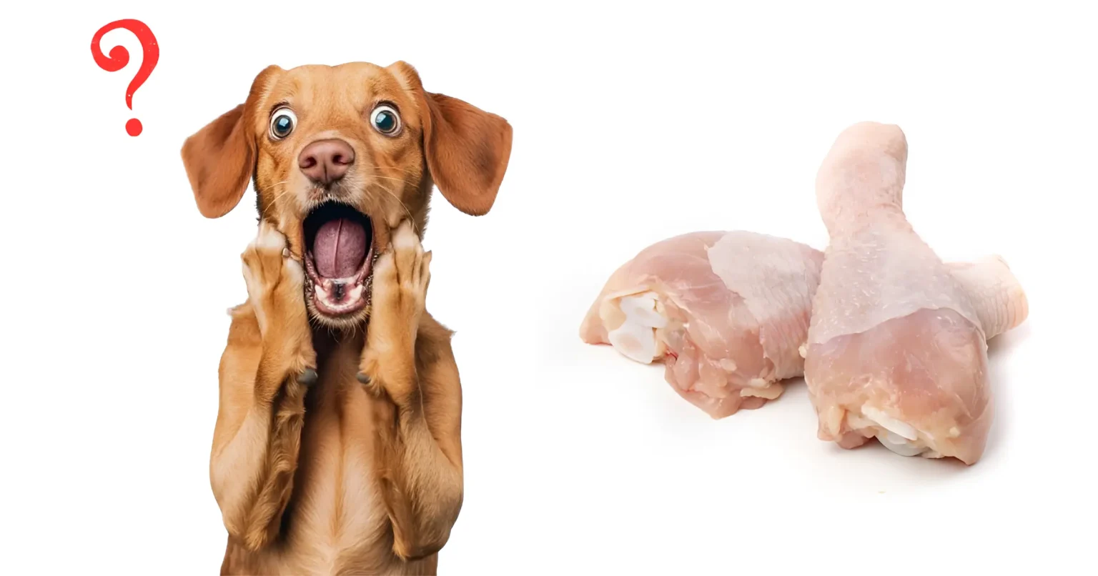Can Dogs Eat Chicken Thighs
