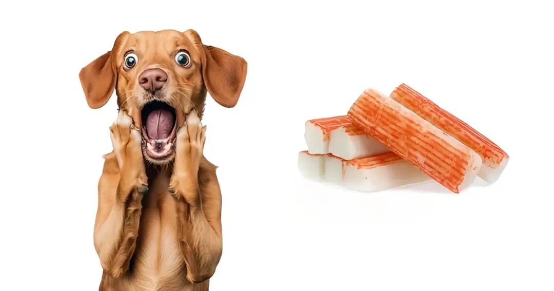 Can Dogs Eat Crab Sticks