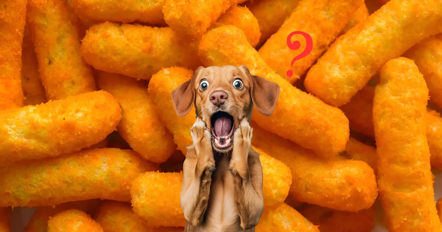 Can Dogs Eat Hot Cheetos