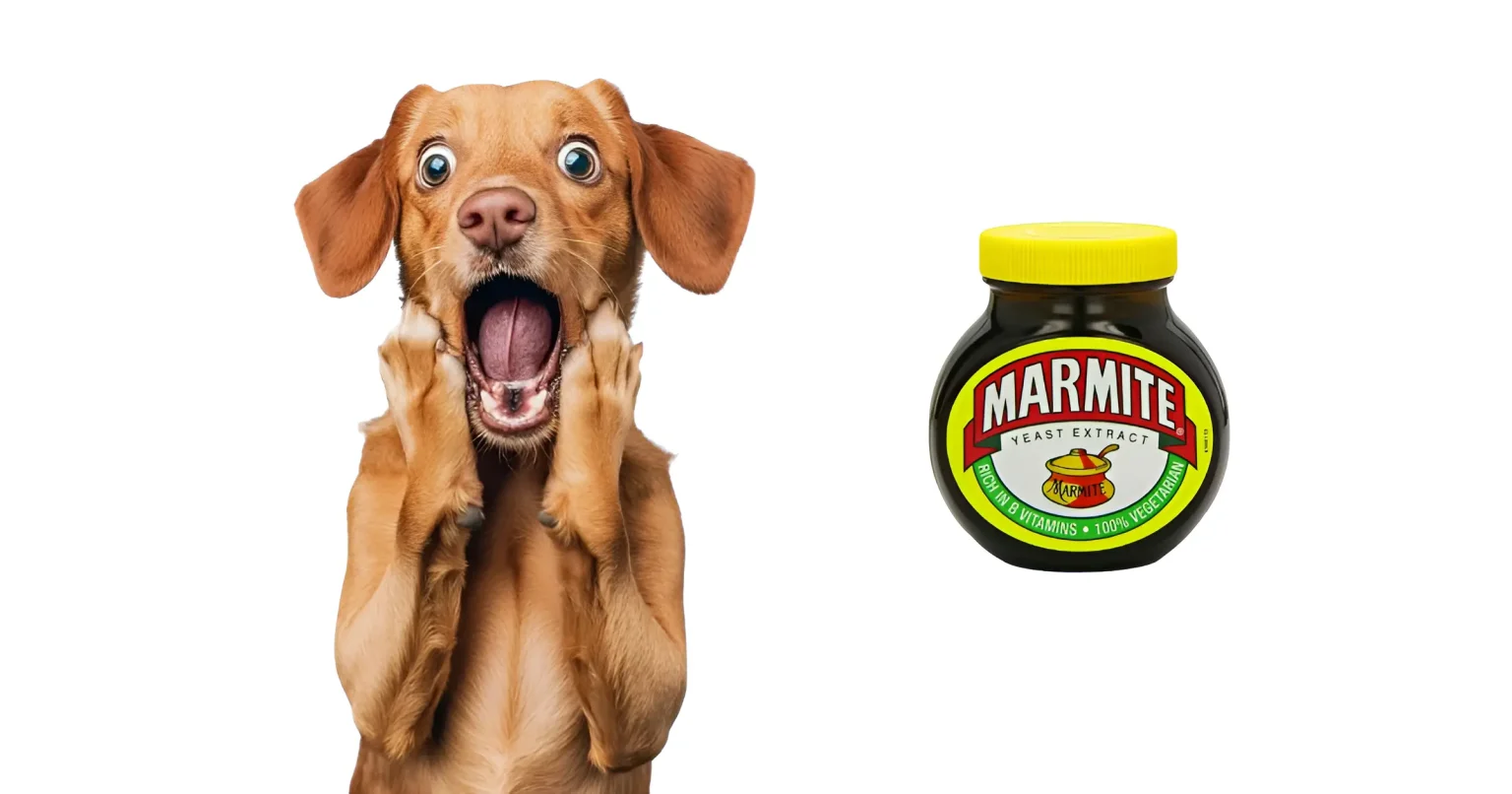 Can Dogs Eat Marmite