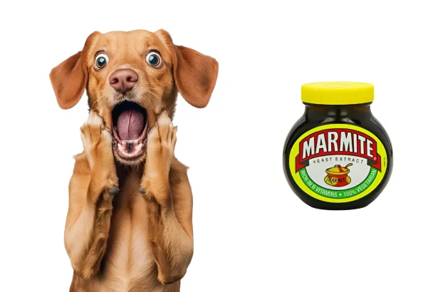 Can Dogs Eat Marmite